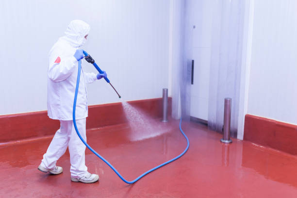 Boat and Dock Cleaning in Susitna North, AK